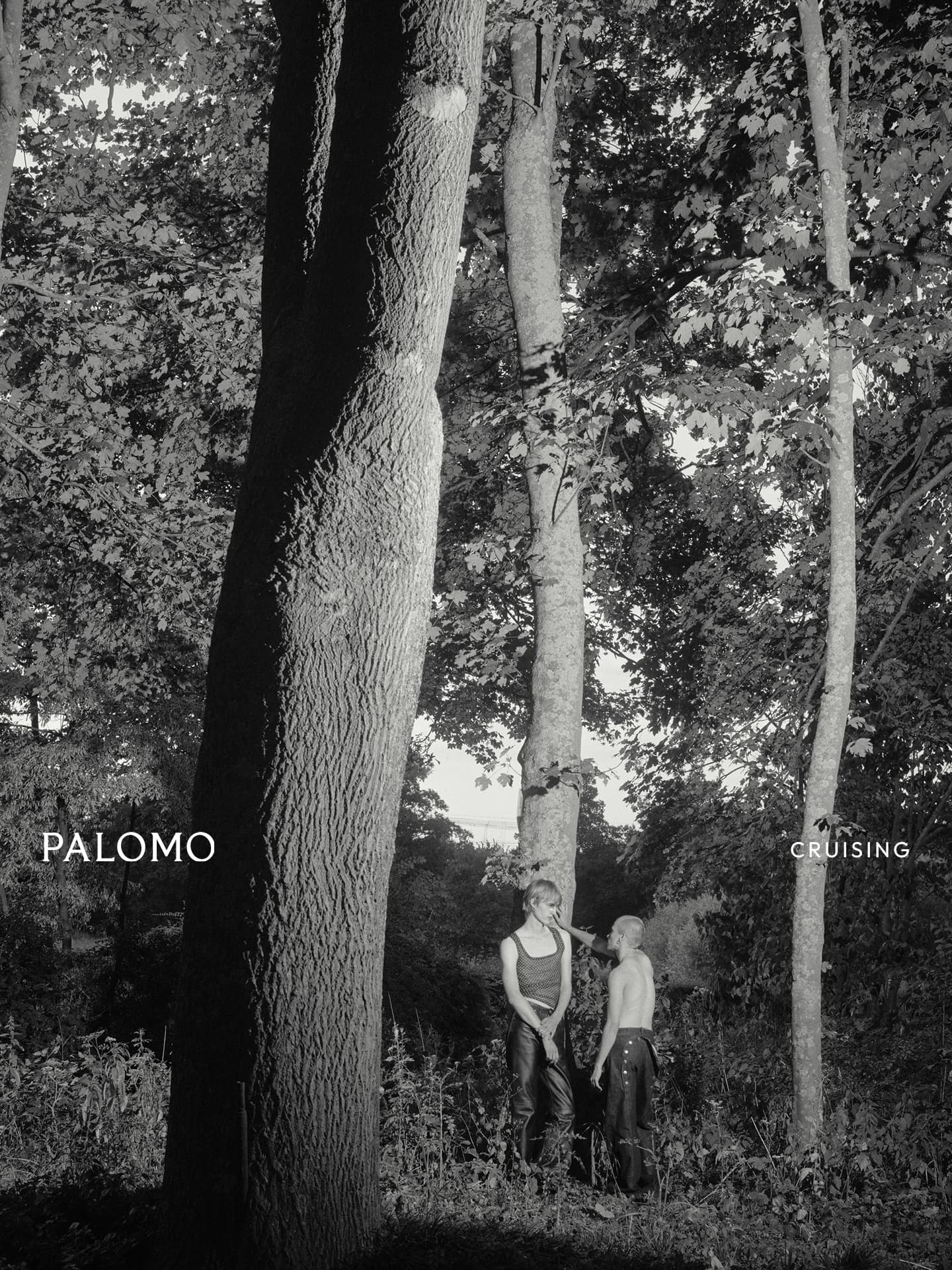 palomo spain